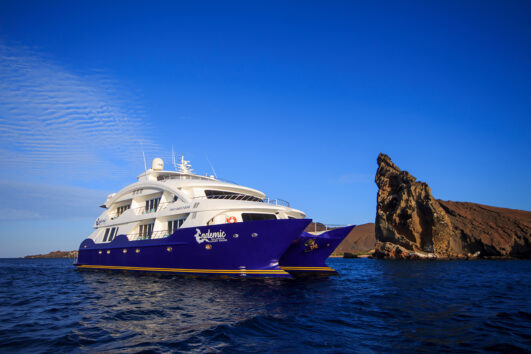 Galapagos Cruises