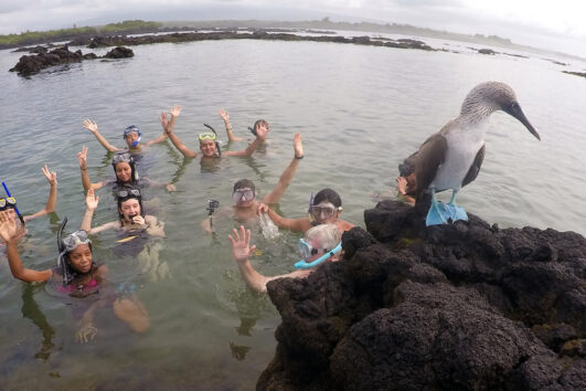 #Galapagos #Islands