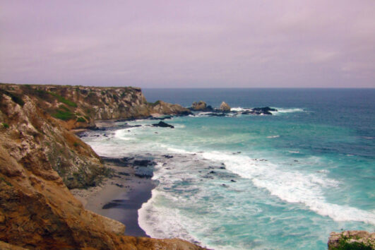 Cloud Forest & Pacific Coast