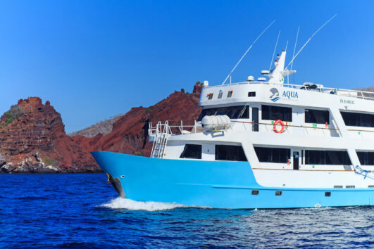 Aqua Galapagos Cruise & Dive